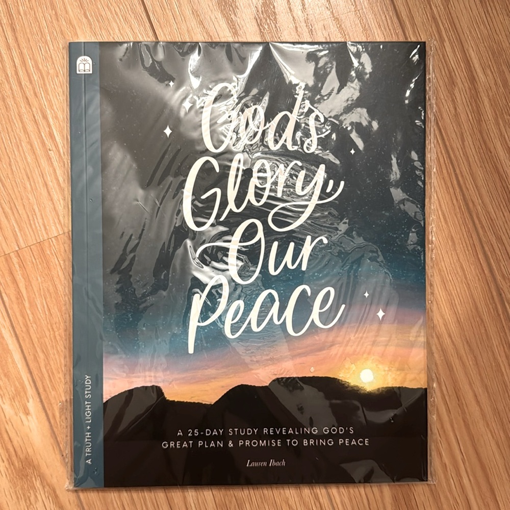 Christian Guided study and prayer Journal for December